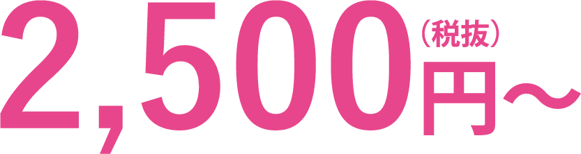 2500円(税抜)〜